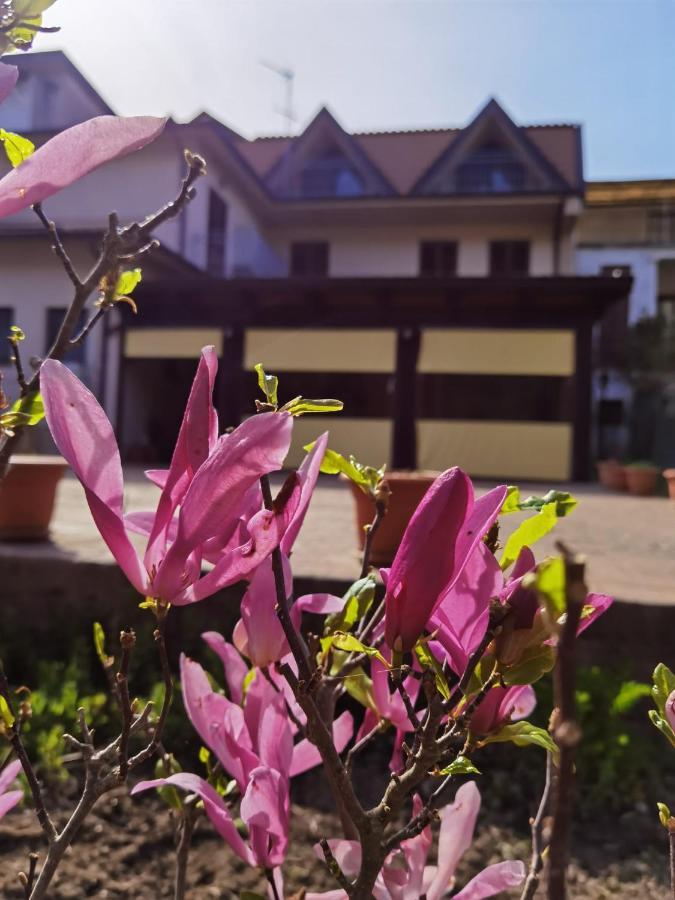 Hotel Edelweiss Laino Borgo Экстерьер фото