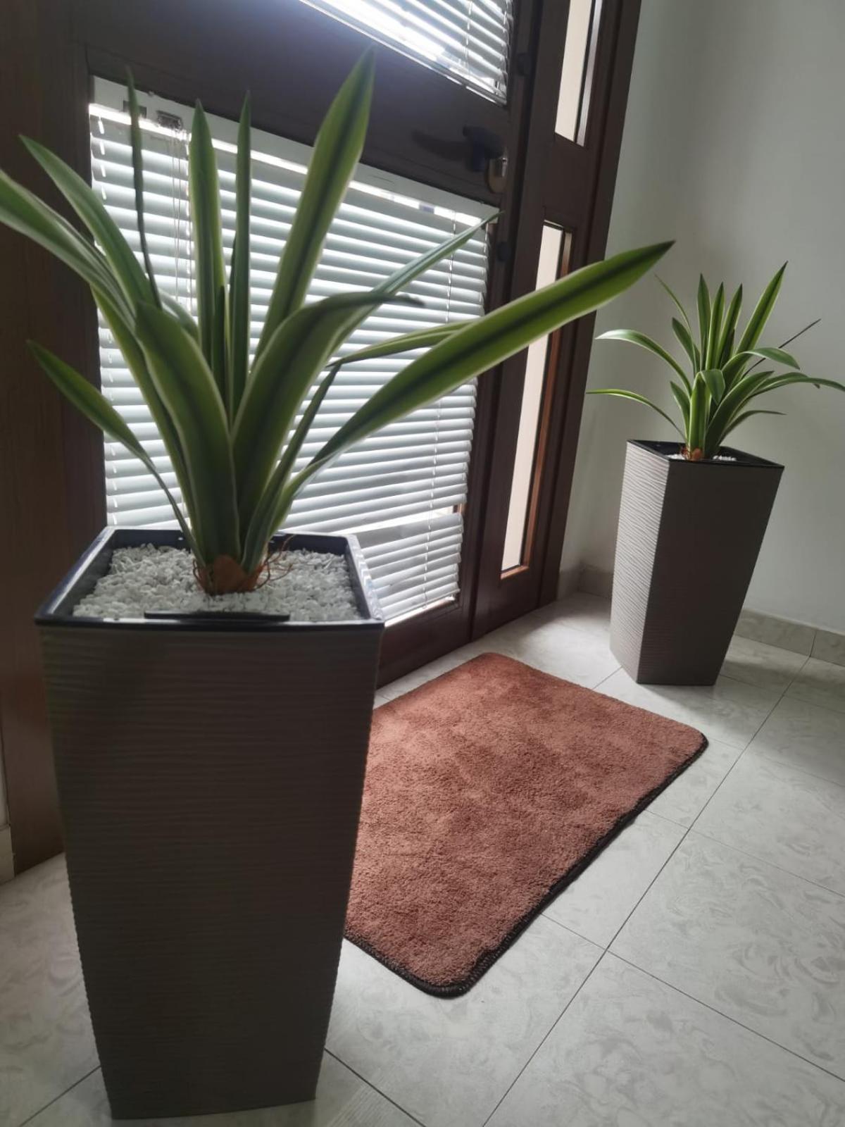 Hotel Edelweiss Laino Borgo Экстерьер фото
