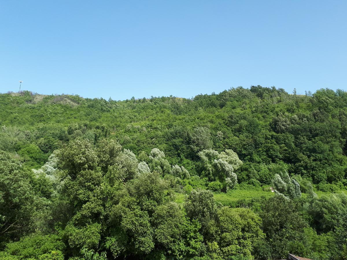 Hotel Edelweiss Laino Borgo Экстерьер фото